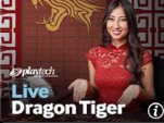 Dragon Tiger -